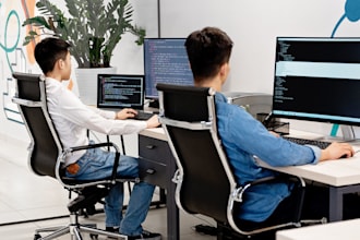 do projects such as websites or programs
