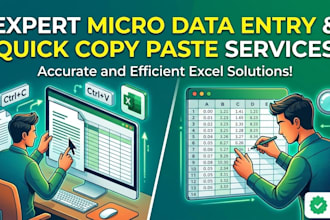 do fast micro data entry and copy paste work in 2 hours