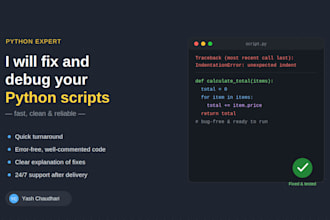fix and debug python scripts professionally