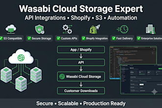 integrate wasabi hot cloud storage with shopify, apis, and custom application