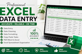 do professional microsoft excel data entry