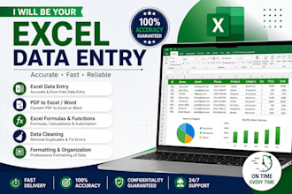 do excel data entry, excel formulas, spreadsheets and PDF to excel