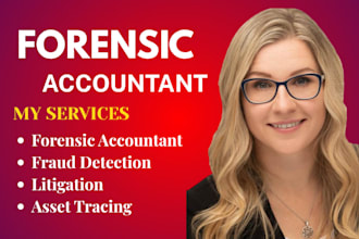 do forensic accounting, asset tracing for divorce litigation and fraud detection
