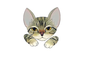 draw a cartoon portrait of your pet