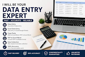 be your data entry expert