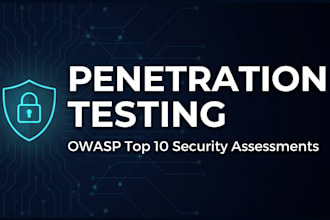 perform a manual owasp top 10 penetration test on your web app