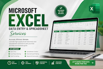 do microsoft excel data entry and spreadsheet task