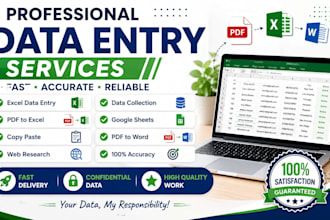 do data entry, excel data typing