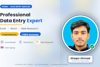 do data entry, copy paste, excel work and web research