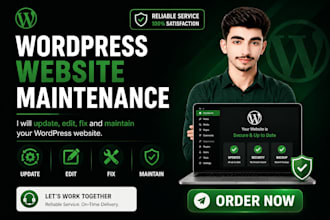 update wordpress website, update website content and website maintenance