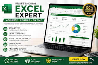 create professional microsoft excel spreadsheets, formulas, dashboards, reports