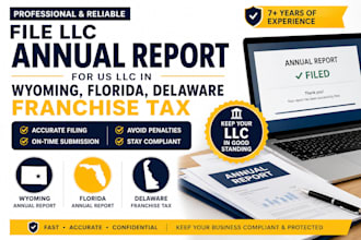 file llc annual report for US llc in wyoming, florida, delaware franchise tax