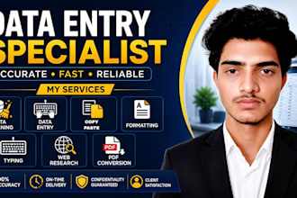 do accurate data entry and excel data entry