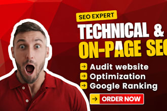 do technical SEO, on page audit and fix google indexing issues
