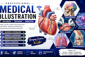 create professional medical illustration, anatomy,and surgical artwork