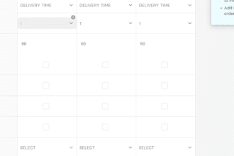 write 1000 words human SEO blog post no ai 24hr delivery