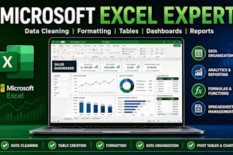 provide professional data cleaning  using ai