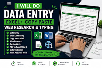 do accurate data entry, excel data entry, copy paste, typing and web research