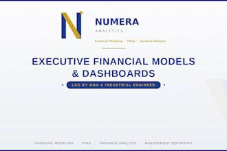 build dynamic financial models and excel dashboards