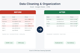 clean and organize your excel, google sheets, or crm data