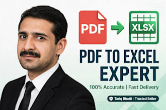 convert pdf to excel, scanned pdf to excel and data entry