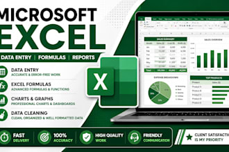 do microsoft excel data entry, formatting, formulas, charts