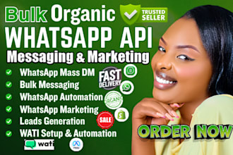 do whatsapp mass dm, whatsapp marketing, bulk marketing campaign, wati setup API