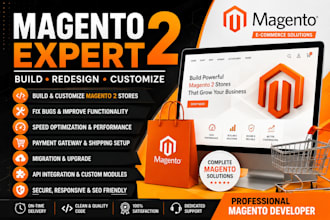 create a professional magento 2 ecommerce website