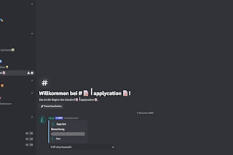 set up a professional discord server