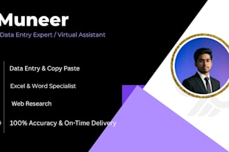 do expert data entry, ms excel, and copy paste work