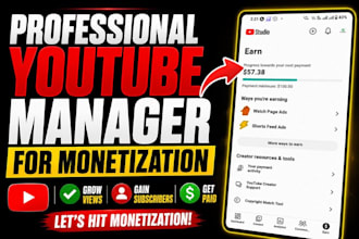 professionally complete youtube monetization requirements