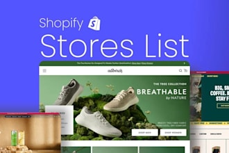 build a custom shopify store, shopify website, and dropshipping store