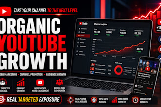 do organic youtube promotion video marketing and channel growth