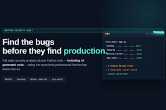 do a security review and audit of your python code