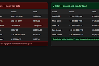 clean, format, and standardize excel or CSV data