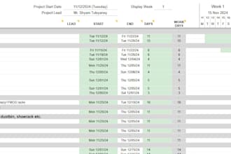 do the project management