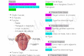 resumos academicos, revisao de texto e ajudo com os estudos