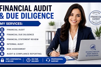 perform financial audit and due diligence