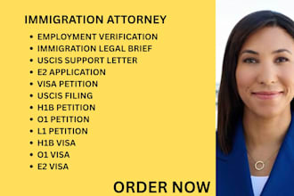 be your ny ca florida immigration lawyer for h1b, l1, o1, and e2 visas
