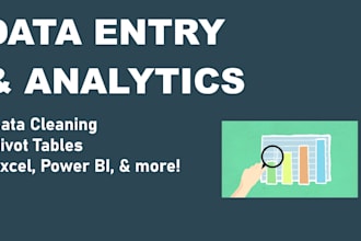 enter, clean, and analyze your data