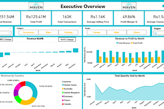 design a professional power bi or excel dashboard