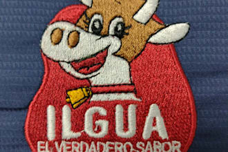 digitize your logo for embroidery in wilcom format