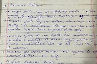 do hand written assignments