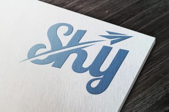 do custom business logo design