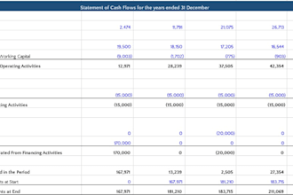 perform financial analysis, ratio, cash flow analysis