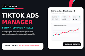 set up and manage tiktok ads campaigns