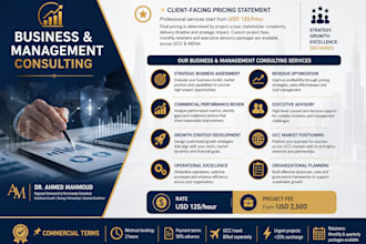 provide business growth strategy and management consulting