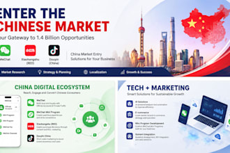 help you enter the china market