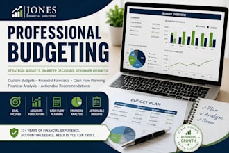 create a custom business budget and financial plan
