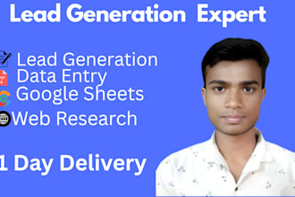 do lead generation, data entry and google sheets work